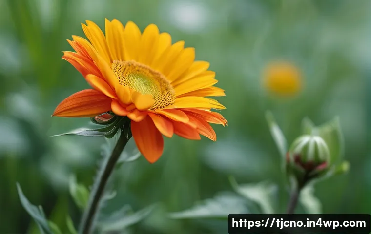 테크노스트레스 관리 방법 관련 이미지 1